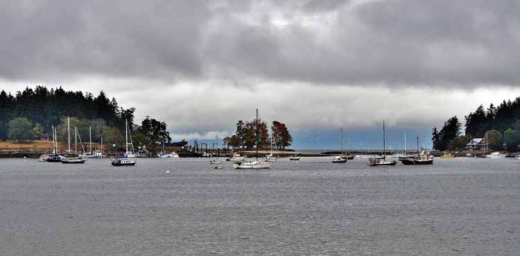 Nanaimo harborfront